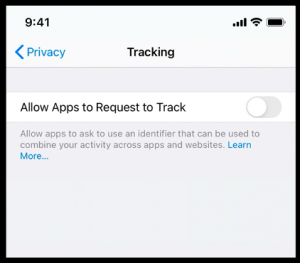 iOS 14 Limit Ad Tracking Screenshot