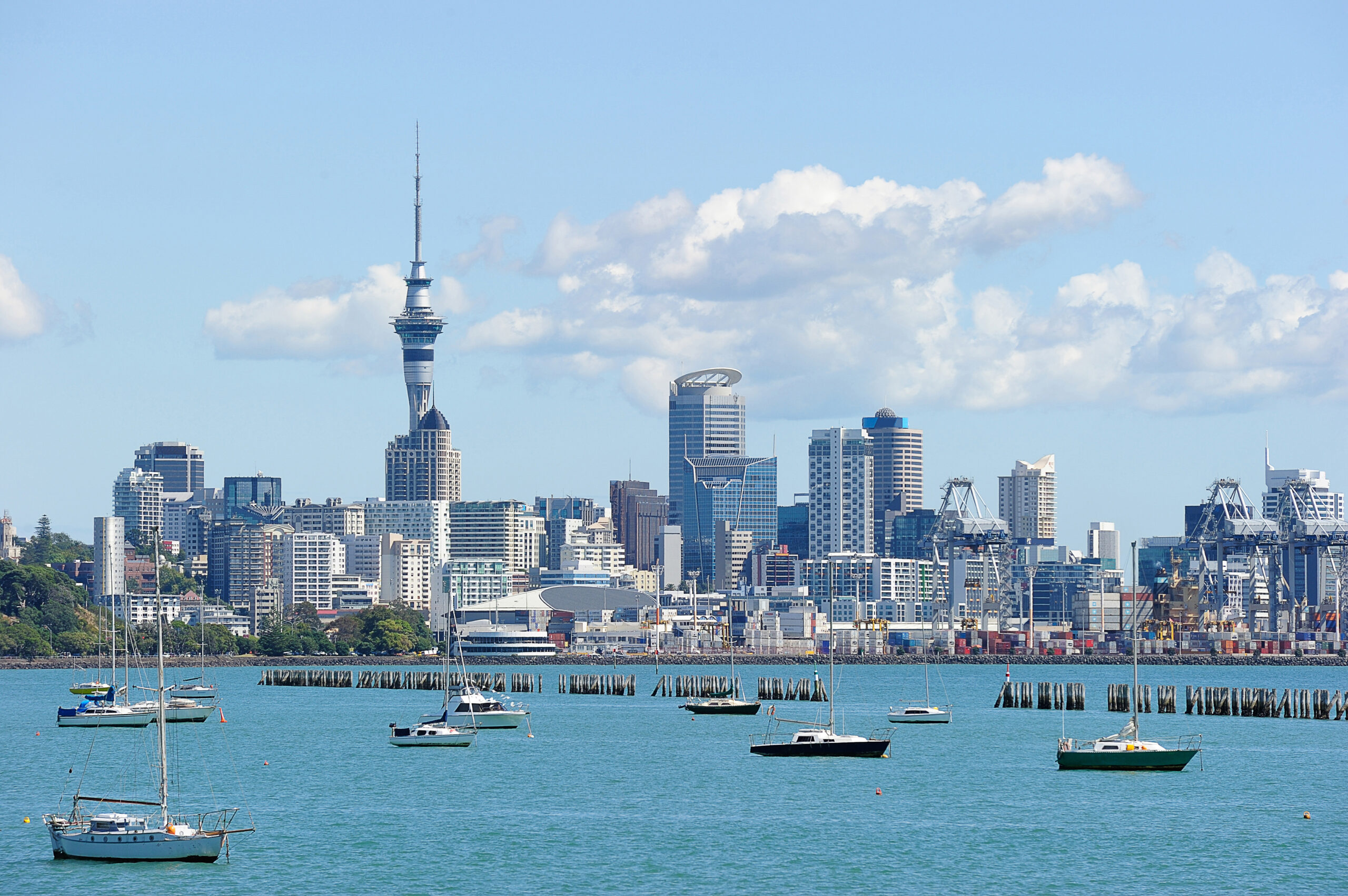 sky,tower,in,a,sunny,day,,north,island,,new,zealand