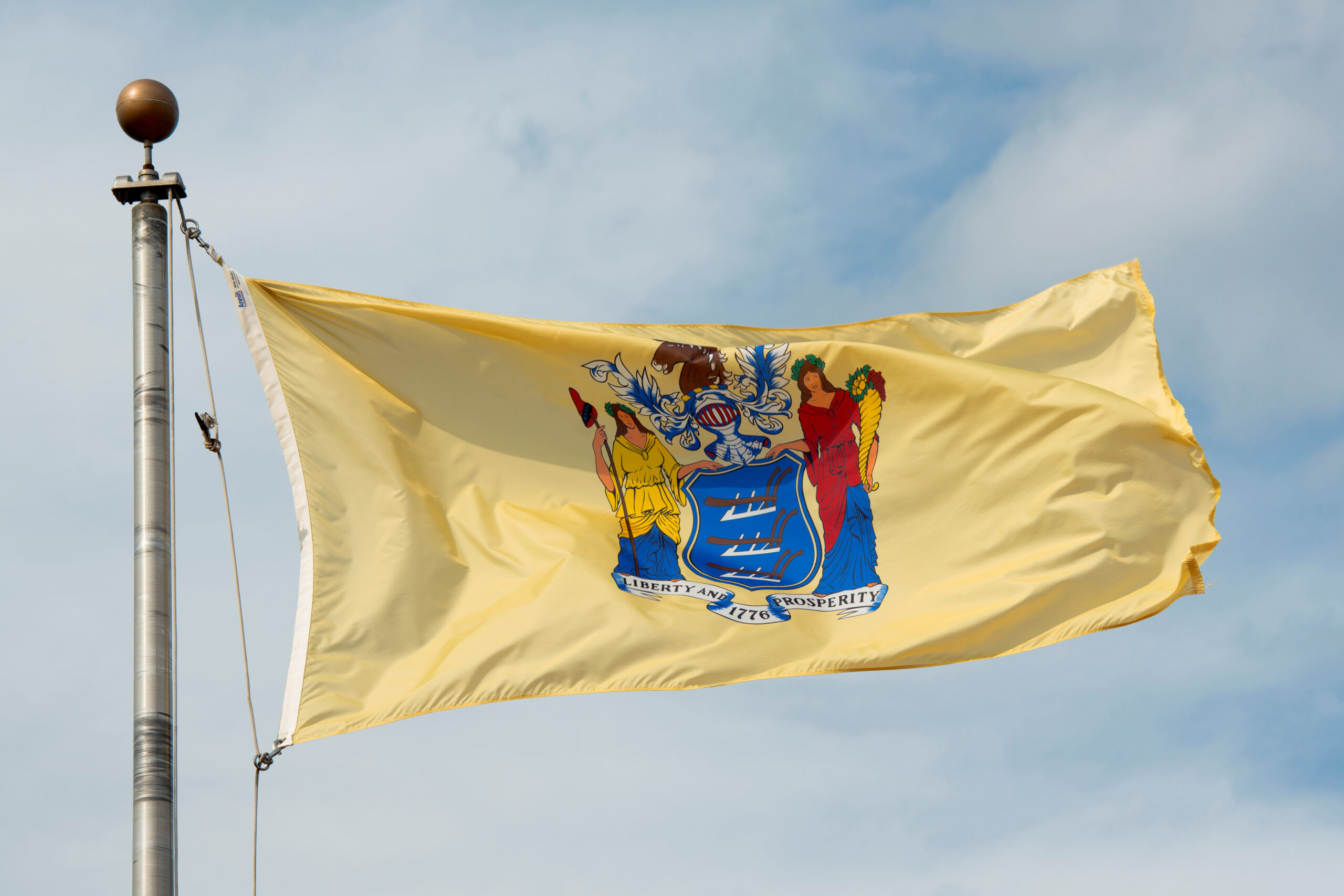 flag,of,new,jersey,in,front,of,new,jersey,state