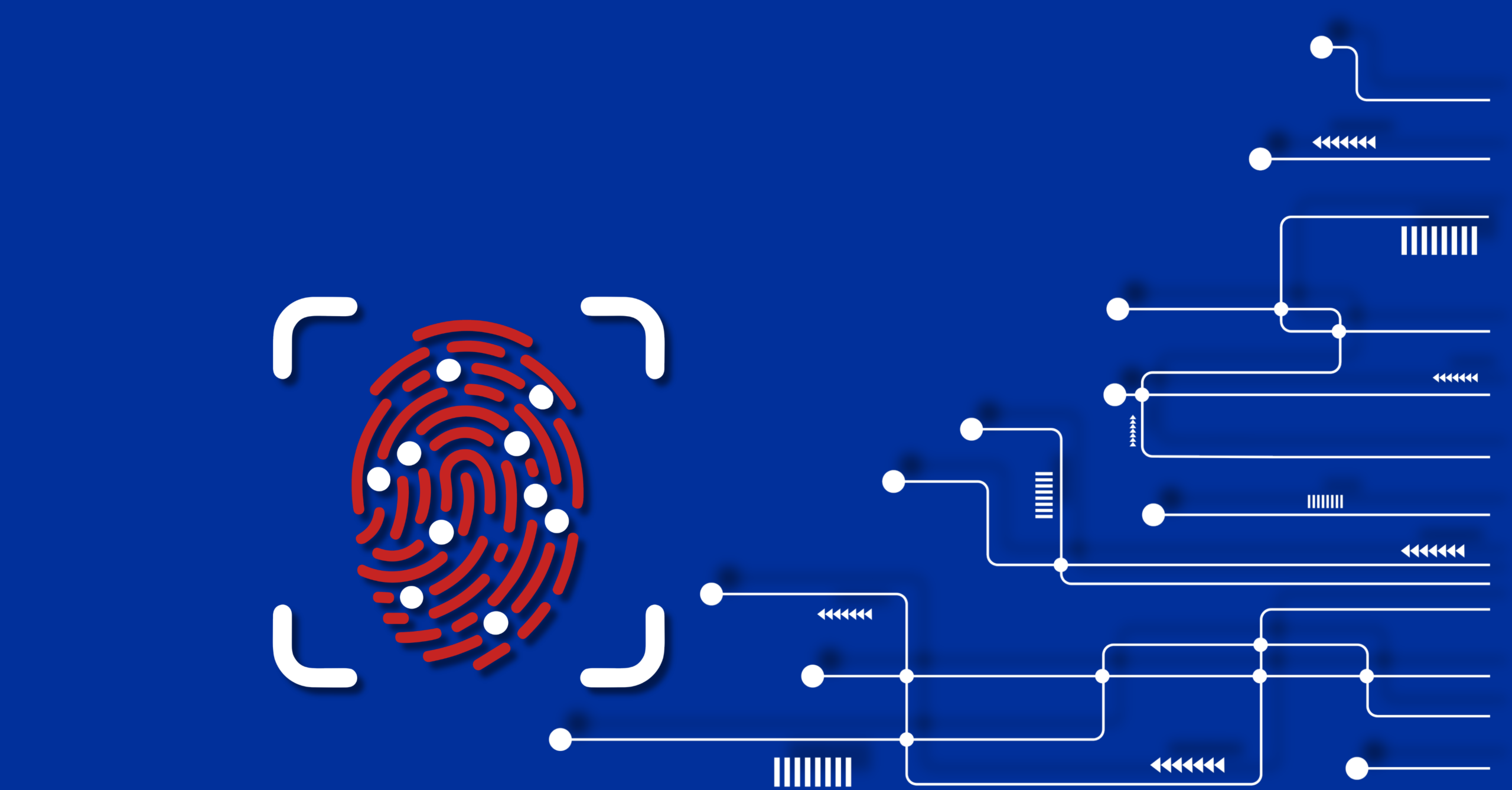 Red Lines under the EU AI Act: Understanding the prohibition of biometric categorization for certain sensitive characteristics